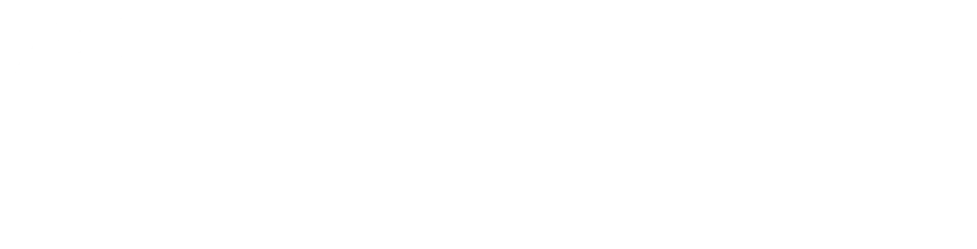 Pepsico---White-Logo