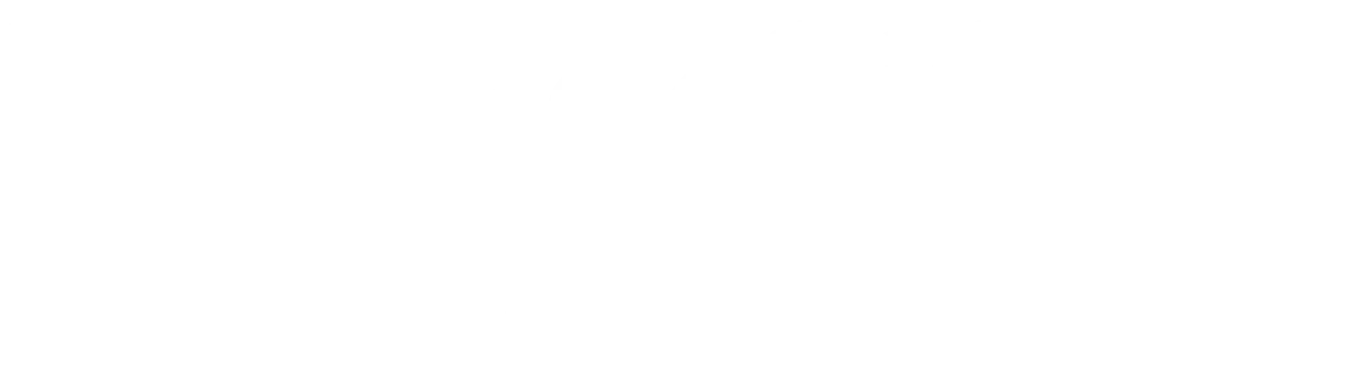 Reckit-Benckiser---White-Logo